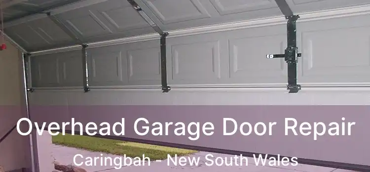 Overhead Garage Door Repair Caringbah - New South Wales