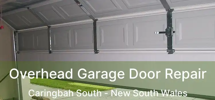 Overhead Garage Door Repair Caringbah South - New South Wales