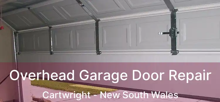 Overhead Garage Door Repair Cartwright - New South Wales