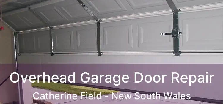 Overhead Garage Door Repair Catherine Field - New South Wales