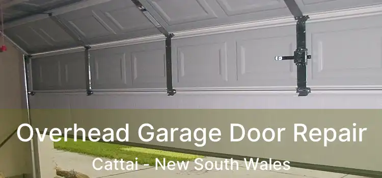 Overhead Garage Door Repair Cattai - New South Wales