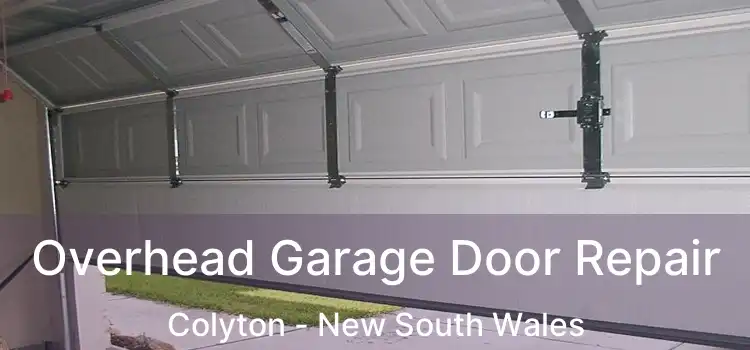 Overhead Garage Door Repair Colyton - New South Wales