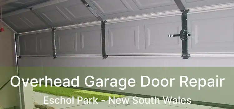 Overhead Garage Door Repair Eschol Park - New South Wales