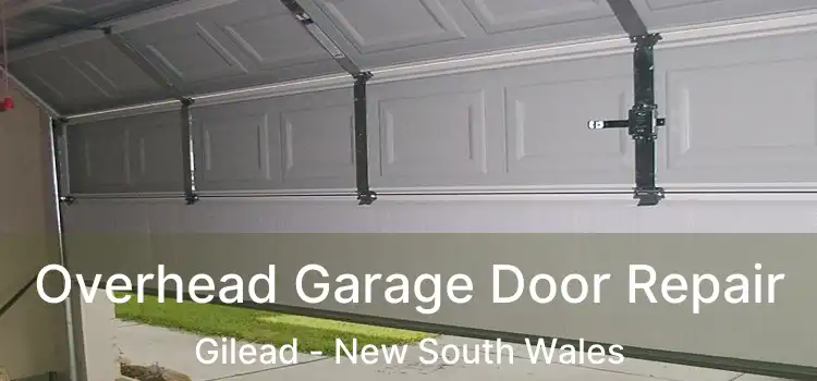 Overhead Garage Door Repair Gilead - New South Wales