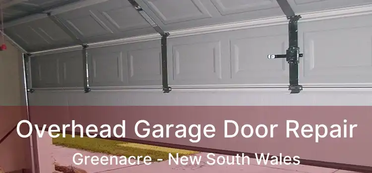 Overhead Garage Door Repair Greenacre - New South Wales