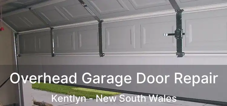 Overhead Garage Door Repair Kentlyn - New South Wales