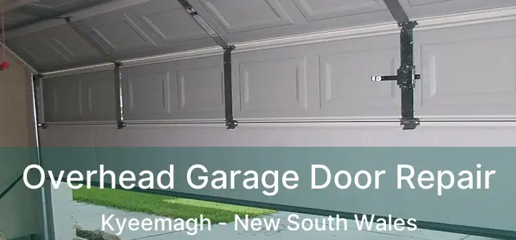 Overhead Garage Door Repair Kyeemagh - New South Wales