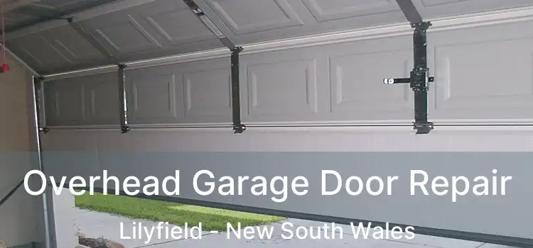Overhead Garage Door Repair Lilyfield - New South Wales
