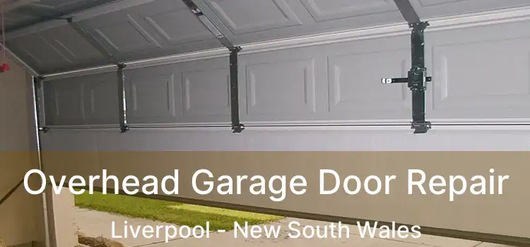 Overhead Garage Door Repair Liverpool - New South Wales