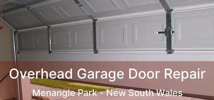 Overhead Garage Door Repair Menangle Park - New South Wales