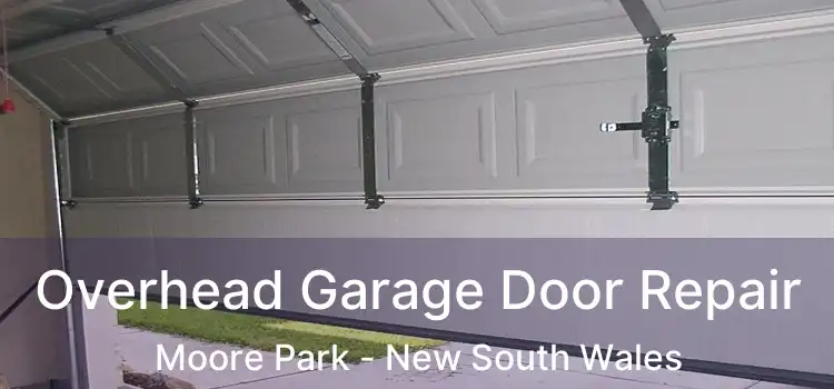 Overhead Garage Door Repair Moore Park - New South Wales