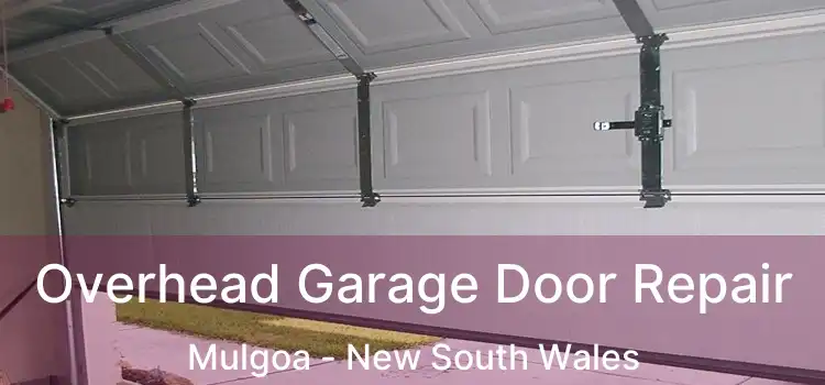 Overhead Garage Door Repair Mulgoa - New South Wales