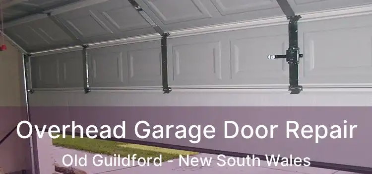 Overhead Garage Door Repair Old Guildford - New South Wales