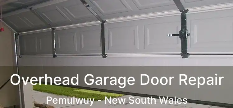 Overhead Garage Door Repair Pemulwuy - New South Wales