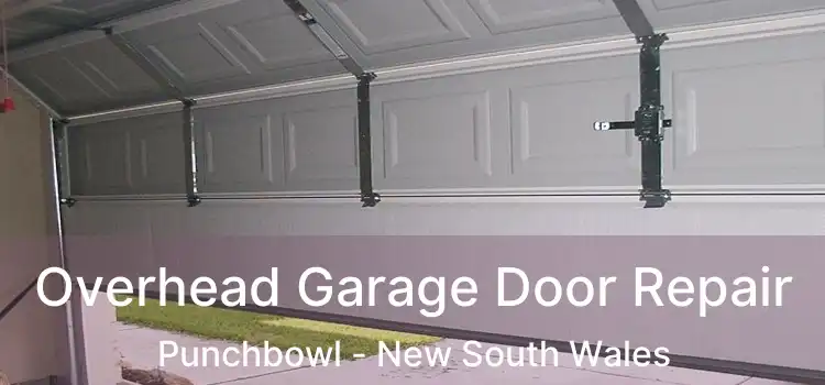 Overhead Garage Door Repair Punchbowl - New South Wales