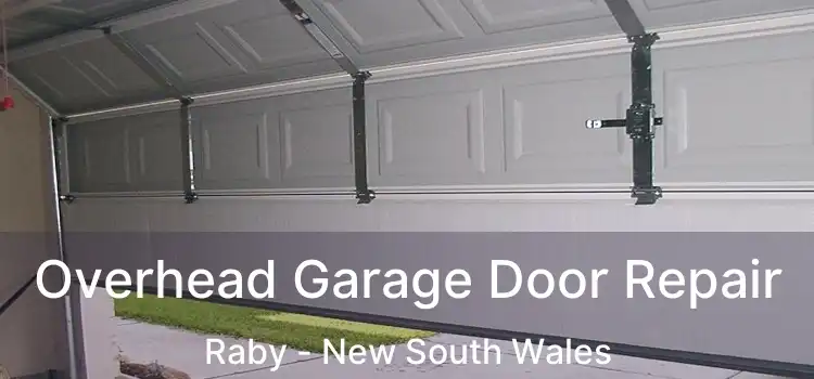 Overhead Garage Door Repair Raby - New South Wales