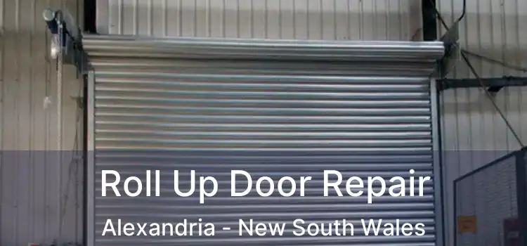 Roll Up Door Repair Alexandria - New South Wales