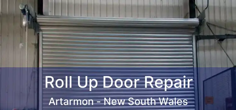 Roll Up Door Repair Artarmon - New South Wales
