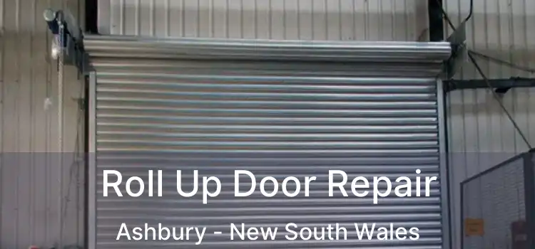 Roll Up Door Repair Ashbury - New South Wales