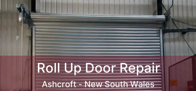 Roll Up Door Repair Ashcroft - New South Wales