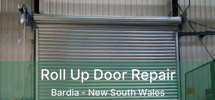 Roll Up Door Repair Bardia - New South Wales