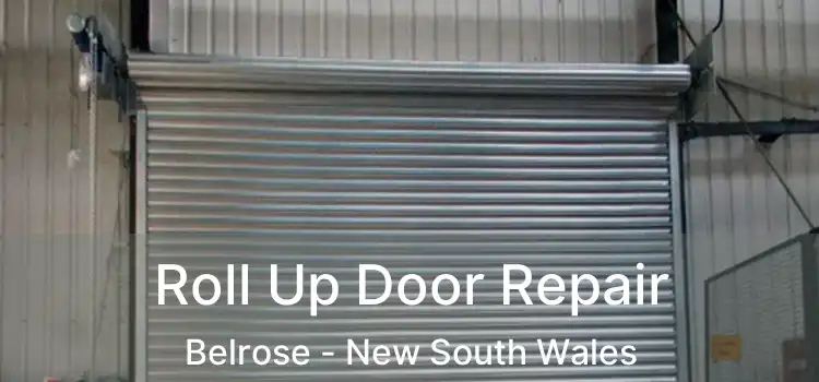 Roll Up Door Repair Belrose - New South Wales