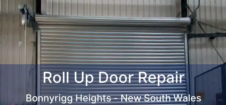 Roll Up Door Repair Bonnyrigg Heights - New South Wales