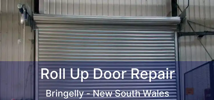 Roll Up Door Repair Bringelly - New South Wales