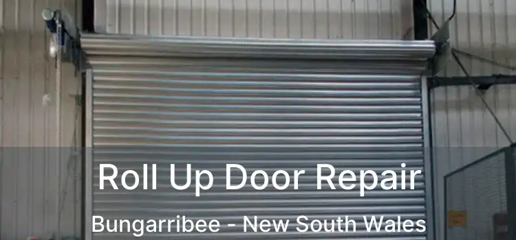 Roll Up Door Repair Bungarribee - New South Wales
