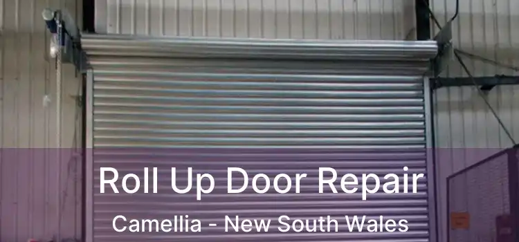Roll Up Door Repair Camellia - New South Wales
