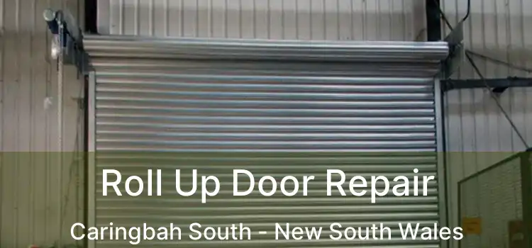 Roll Up Door Repair Caringbah South - New South Wales