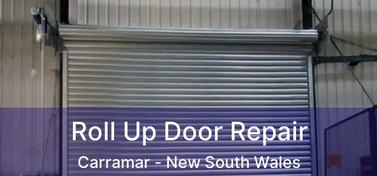 Roll Up Door Repair Carramar - New South Wales