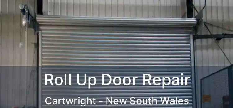Roll Up Door Repair Cartwright - New South Wales