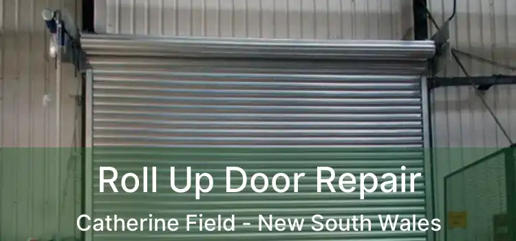 Roll Up Door Repair Catherine Field - New South Wales