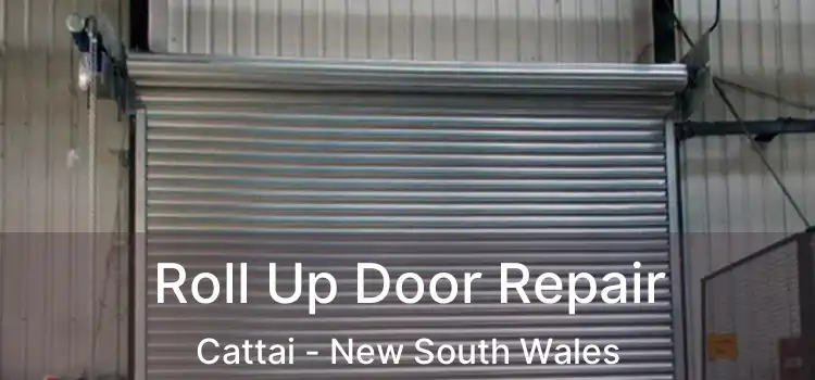 Roll Up Door Repair Cattai - New South Wales
