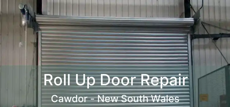 Roll Up Door Repair Cawdor - New South Wales