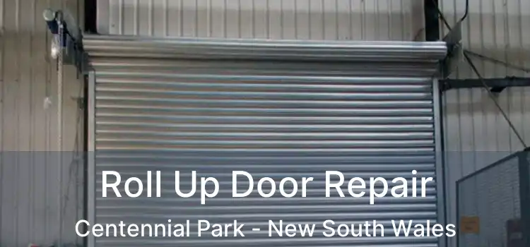 Roll Up Door Repair Centennial Park - New South Wales