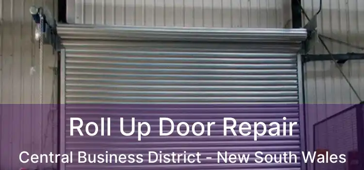 Roll Up Door Repair Central Business District - New South Wales