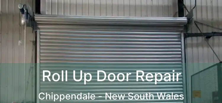 Roll Up Door Repair Chippendale - New South Wales