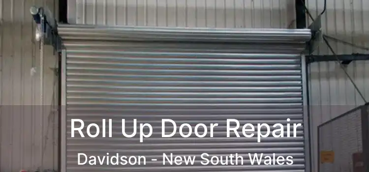 Roll Up Door Repair Davidson - New South Wales