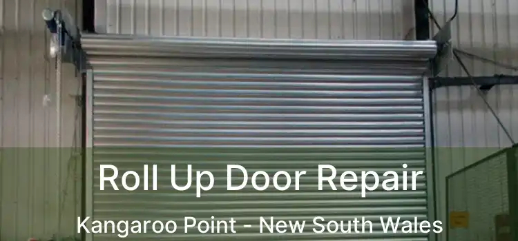 Roll Up Door Repair Kangaroo Point - New South Wales