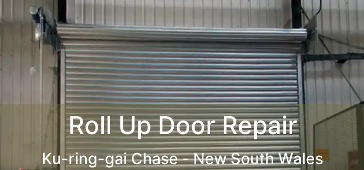 Roll Up Door Repair Ku-ring-gai Chase - New South Wales