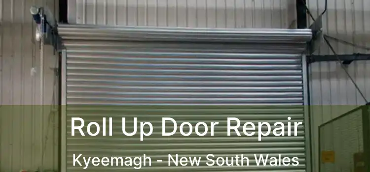 Roll Up Door Repair Kyeemagh - New South Wales