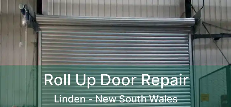 Roll Up Door Repair Linden - New South Wales
