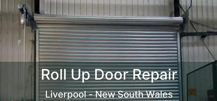 Roll Up Door Repair Liverpool - New South Wales