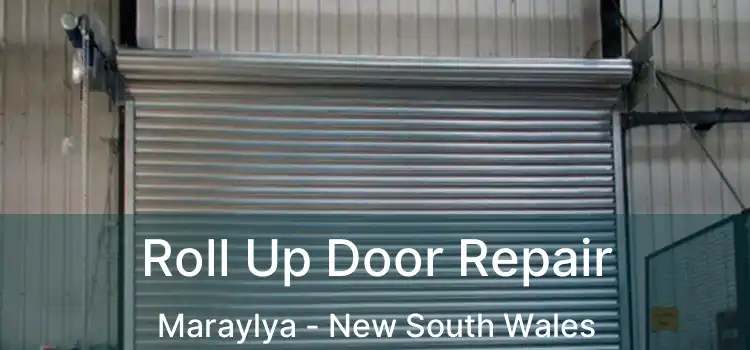 Roll Up Door Repair Maraylya - New South Wales