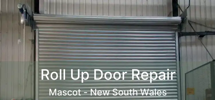 Roll Up Door Repair Mascot - New South Wales