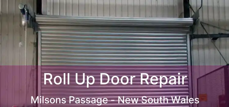 Roll Up Door Repair Milsons Passage - New South Wales