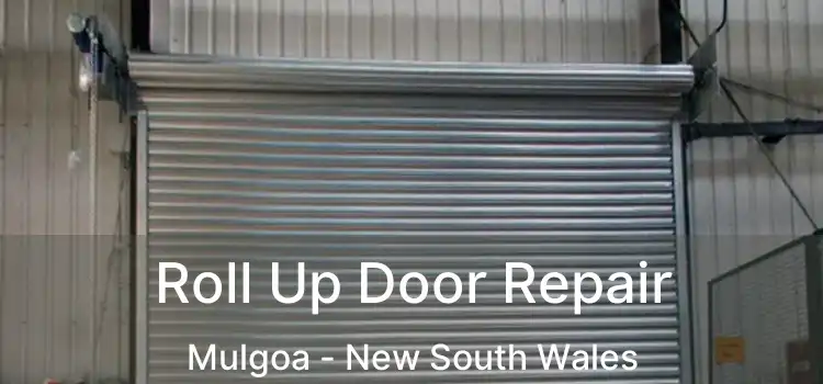 Roll Up Door Repair Mulgoa - New South Wales