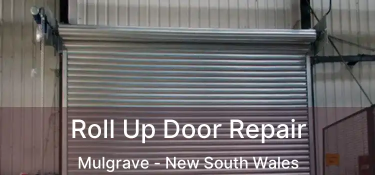 Roll Up Door Repair Mulgrave - New South Wales